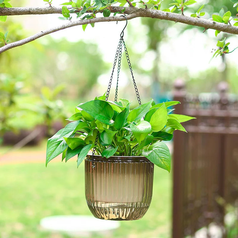 Transparent Hanging Self-Watering Flower Pot (Hydroponic)